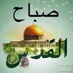 باسمه أبو ريده - @basema_mustafa1 - Instagram