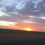 Basema Mustafa - @basemamustafa - Instagram