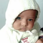 Bashar Abbas - @shaguftazmal - Instagram