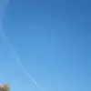 basharhalabi3 - @basharhalabi3 - TikTok