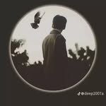بشار انور حموده - @bashar.anwar190 - Instagram