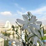 Bashar.ashkar - @bashar.ashkar12 - Instagram