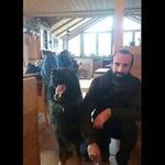 basharalattar - @basharattar79 - Instagram