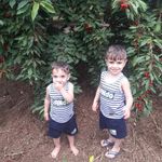 Bashar Barakat - @bashar_barakat_abo_omar - Instagram