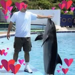 Bashar Basheer - @bashar.basheer.9 - Instagram