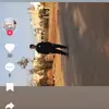 بشار عبابنة - @basharababneh - TikTok