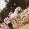 Bashar Daoud845 - @user2854572270781 - TikTok