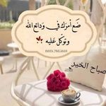 Bashar Darwish - @bashardarwish80 - Instagram