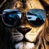 Bashar Darwish - @wwwtiktok.abomouhamed - TikTok