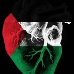 Em Bashar Darwish - @zozo.flower5 - Instagram