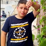 Bashar Deeb - @bashardeeb15 - Instagram