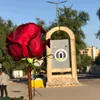 Farah Bashar - @farah.bashar3 - TikTok