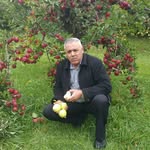 Bashar Al Halabi - @bashar.halabi - Instagram
