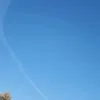 basharhalabi3 - @basharhalabi3 - TikTok