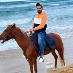 Bashar Hindi - @hindi.bashar - Instagram
