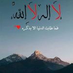 Bashar Hindi - @bashar.hindi.7 - Instagram