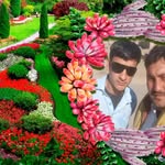 Imam Bashar Imam Bashar - @iimambashar - Instagram