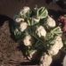Babar Qaisar - Facebook
