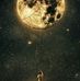 Bashar Abu Khader - Facebook