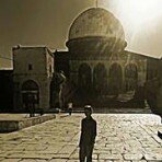 Omar Bashar Khader - @amorywhiteface123 - Instagram