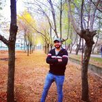 Bashar Mashal - @bashar.mashal93 - Instagram