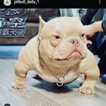@bashar__mirza__im - Instagram