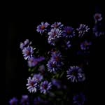 bashar mirza - @bash_ar4862 - Instagram