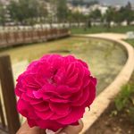 Bashar Salim - @zooz_97459 - Instagram