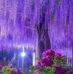 Bashar Salloum - Facebook