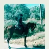 بشار صوالحة - @basharsawalha2 - TikTok