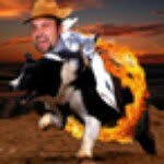 Bashar Sawalha - @cptnloopypants - Instagram