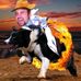 Bashar Sawalha - Facebook