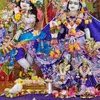Basi Lal - @basi.lal - TikTok