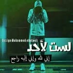 basil__basha - @basil__basha - Instagram