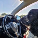 Basil Bennett - @bas_88 - Instagram