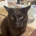 Basil Dixon - @badixonus - Instagram