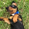 Basil_Francis - @basil_francis - TikTok