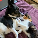Basil & Frank - @basil_and_frank - Instagram