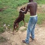 Basil Graham - @basil.graham.10 - Instagram