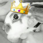 Basil Gray Gilliland - @basilgraygilliland - Instagram