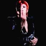 ruby... - @basilhallwardfanclub - Instagram