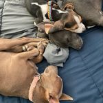 Basil Mika - @basil_mika_hamilton_ - Instagram