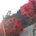 Basil Harrison - @adventurersvlog - Instagram