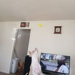 Basil Harvey - Facebook
