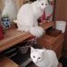 Basil Henry - Facebook