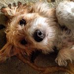 Basil Hill - @basil.hill - Instagram