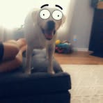 Basil Hoover - Facebook