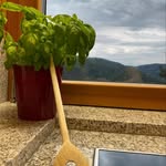 Bernd Basil Hornbach - @basil.b.hornbach - Instagram