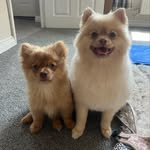 Hunter & Basil - @hunterandbasil - Instagram
