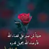 Basil Ibrahim - @basilibrahim50 - TikTok